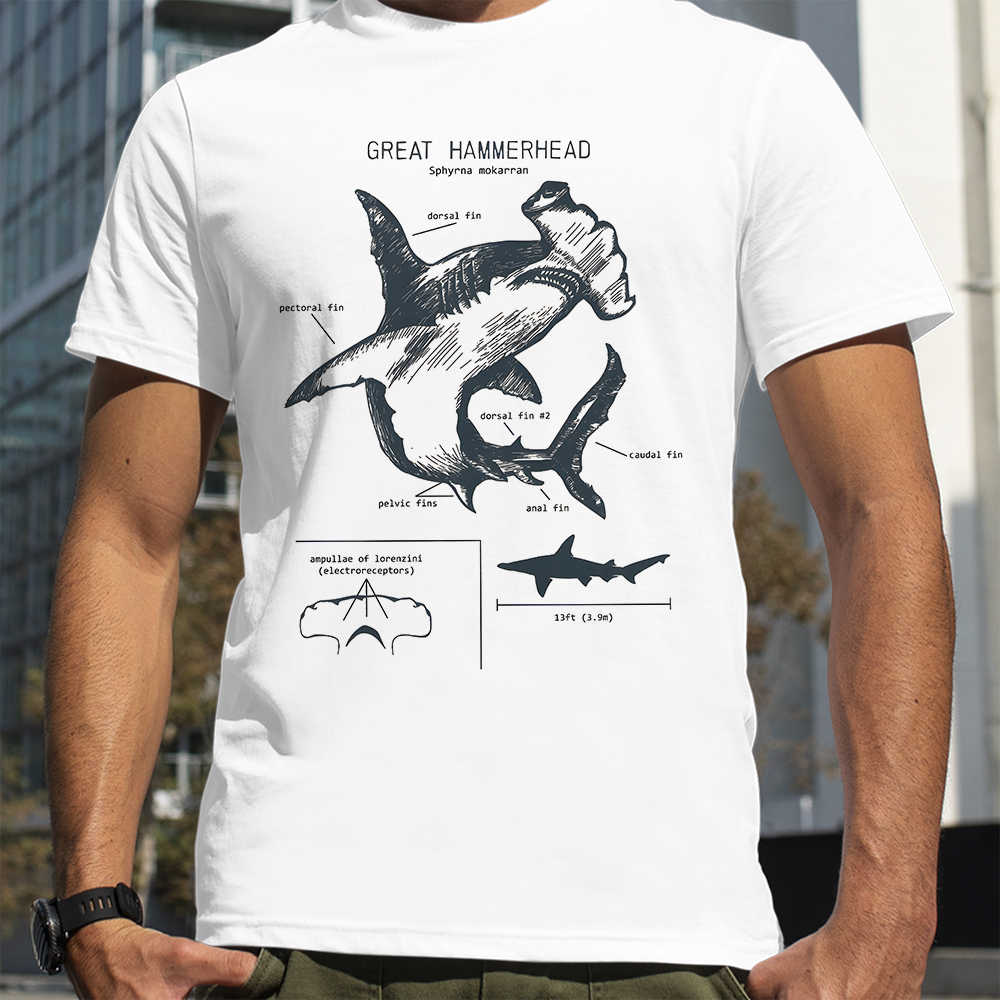 Hammerhead Shark Anatomy Shark - Street Fashion Loverboy recension och pris